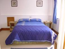 bed11.jpg